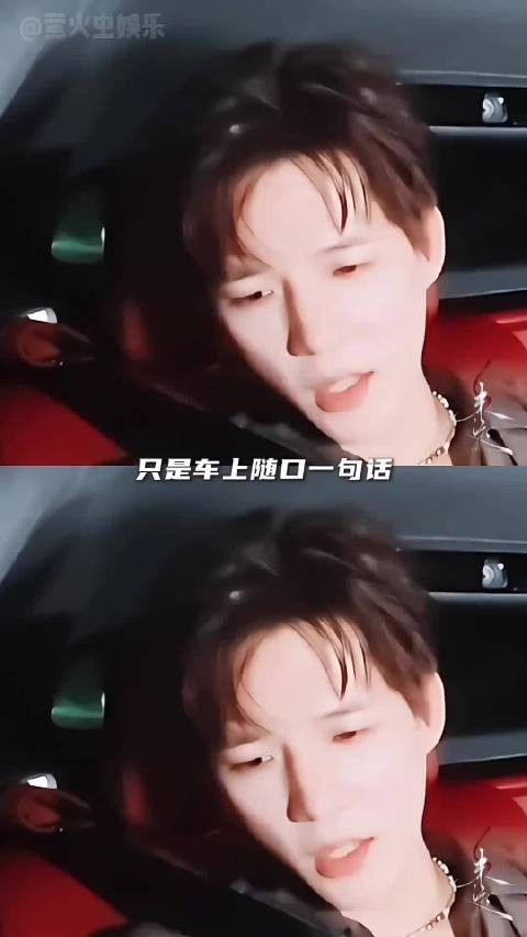 王安宇胡先煦同频的默契！人生几何 能够得到知己！胡言乱宇