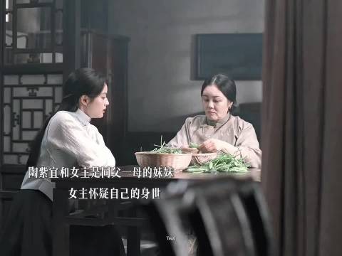 女主与陶紫宜系同父异母姐妹,母亲隐瞒玉佩真相