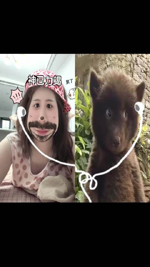 完蛋了 两点多了