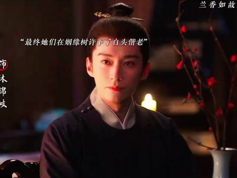 她掌林家后宅为林锦岐生两子,姻缘树下许白头偕老