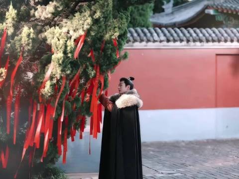 刘学义兰香如故谭松韵红线寄来生