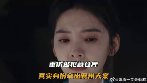 重伤逃犯藏仓库,真实身份牵出襄州大案