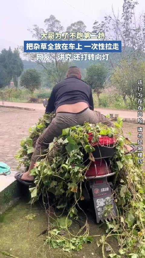 大哥为了不跑第二趟,把杂草全放在车上,一次性拉走