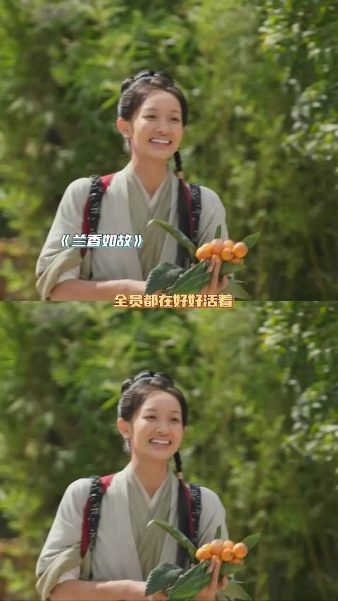 兰香如故的时间姑娘，原来菊花脑是一种野菜啊