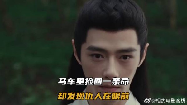 马车里捡回一条命,却发现仇人在眼前