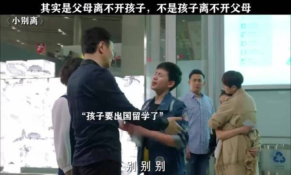 海清胡先煦小别离聚焦亲子关系