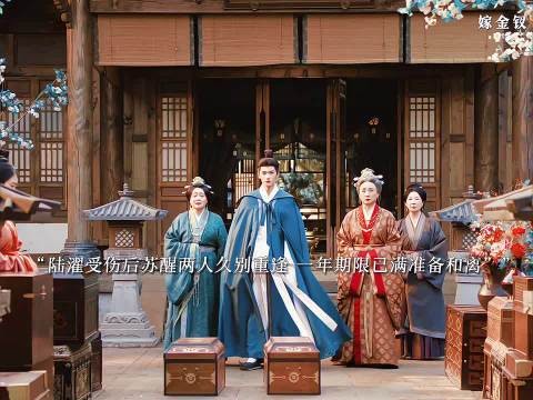 嫁金钗陆濯受伤后两人久别重逢，魏娆眼底含泪最终决定不和离
