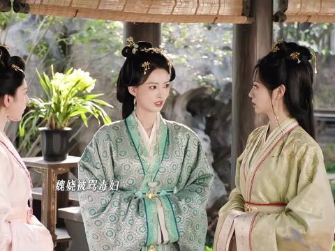 魏娆质问无缘无故为何推她,称对方私慕其丈夫