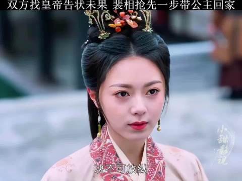 公主大臣找皇帝告状未果,裴相抢先一步带公主回家 度华年 赵今麦 张凌赫