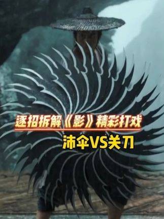 沛伞VS关刀,逐招拆解影精彩打戏