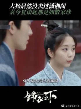 大杨居然没去过潇湘阁 袁今夏谈起那是如数家珍,简直是老手中的老手