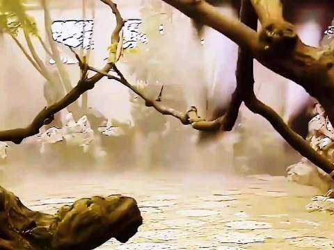 86版《西游记》八戒有一绝招，你知道是什么招吗？