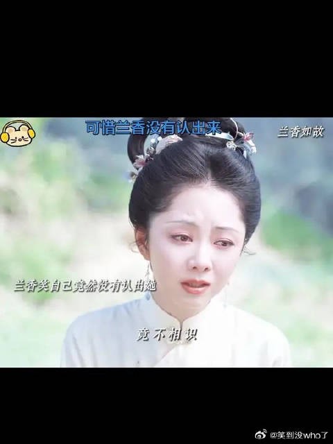 兰香如故秋葵认出嘉兰林锦岐旁难相认