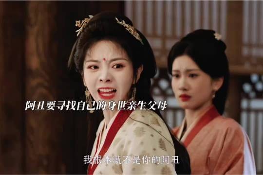 真正的阿丑已经在那天晚上冻死了，自己只是母亲捡来的