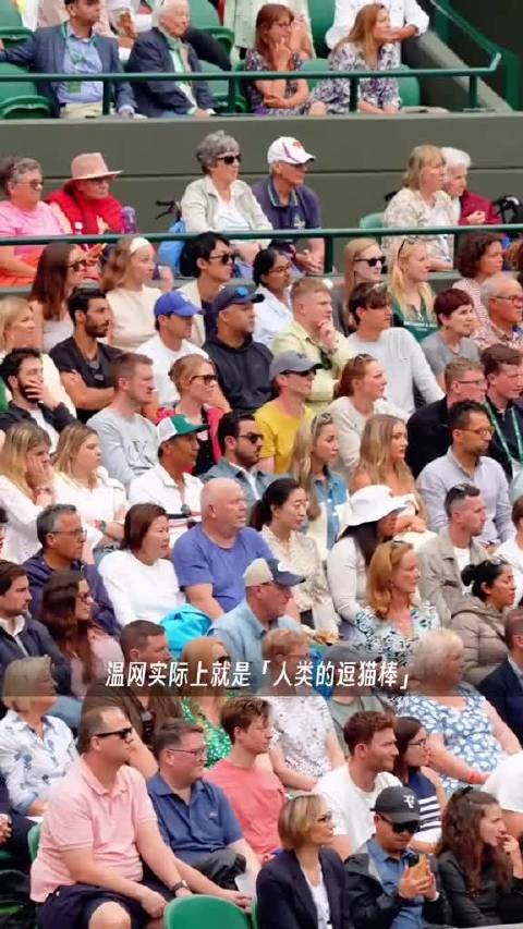 温网收官看台老钱风穿搭成话题，观赛造型比球吸睛