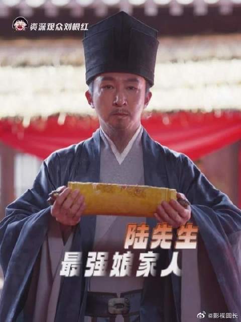 陆先生最强娘家人,捧旨敲打林锦岐