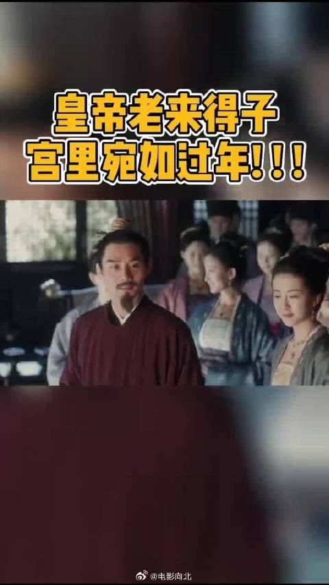 官家再也不用被朝廷官员逼着要儿子了！