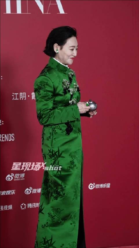 好有气场……看到惠英红想到了这首歌,一秒梦回血观音