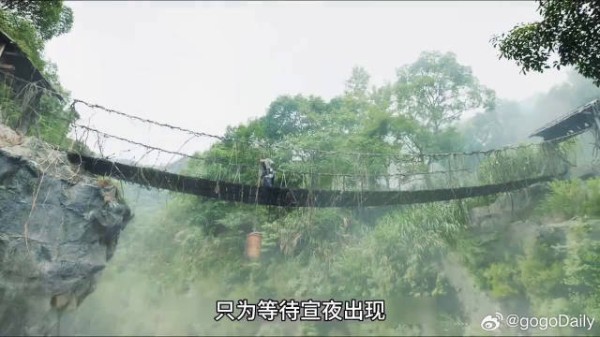黑豹向女子求救,诡异一幕上演