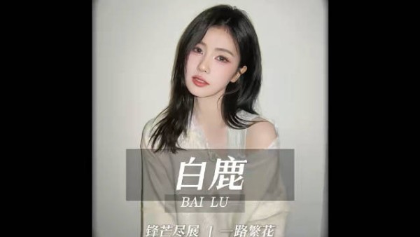 白鹿近30天掉粉超144万，旧闻被反复炒作