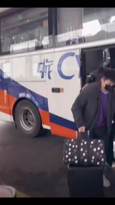 樊振东,别人越扒越有料,而你越扒越让人泪目