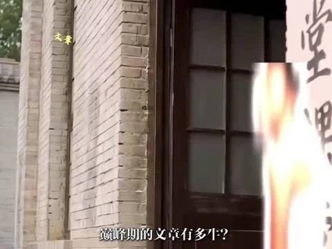 文章演技在线,就是年轻太狂了