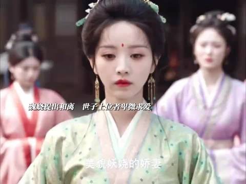魏娆和离后设局拉皇后下马扶持生母