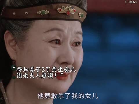 谢老夫人为了谢家献祭自己的亲生女儿,最后把命搭上了什么都没得到