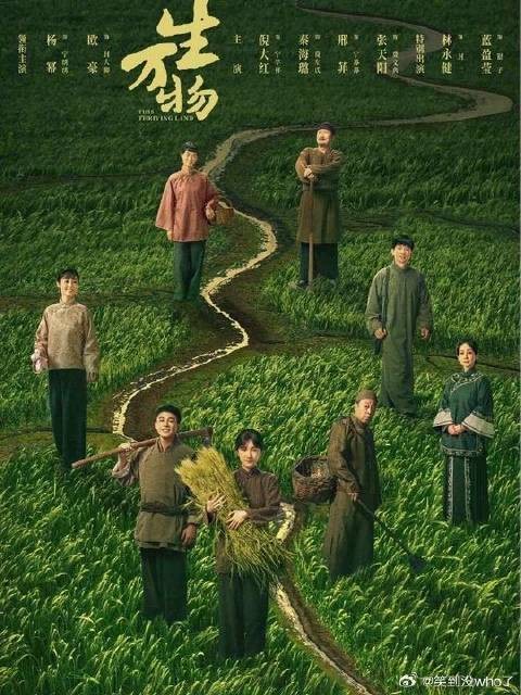 跑男哥费文典应该也是喜欢苏苏的吧