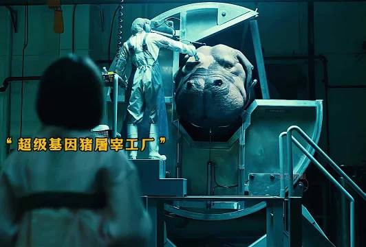 你救我一命我护你一生