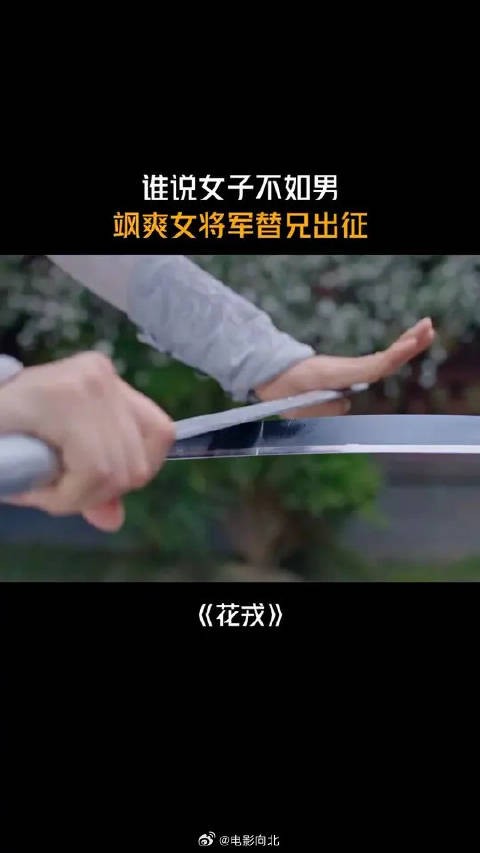 谁说女子不如男，飒爽女将军替兄出征