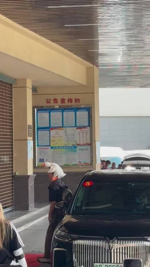 林更新今天什么角色？