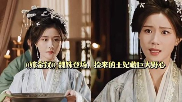 嫁金钗魏姝登场，捡来的王妃藏巨大野心