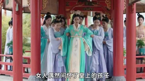 女人怀上了皇上的孩子,可她却始终高兴不起来