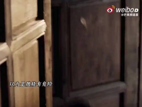 魏娆打人陆濯善后,陆濯恍惚认错人后称是我老婆