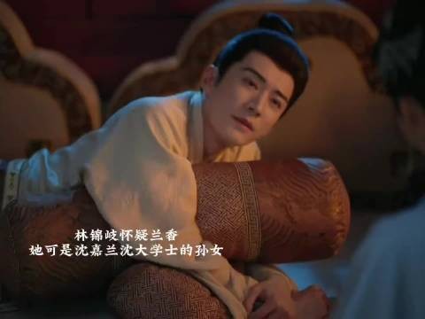 原来这里林锦岐就已经怀疑兰香了,问她怎么对律法那么熟悉,被兰香糖塞过去了