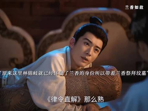 林锦岐疑兰香通律令,携其查看沈家坟