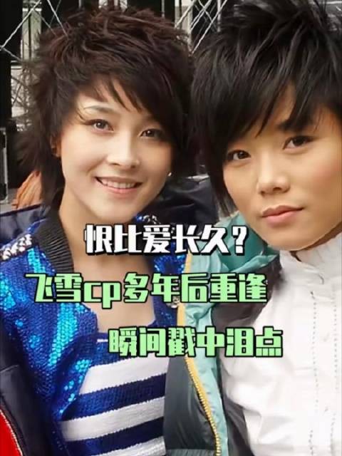 厉娜许飞再翻红，甄嬛传人物类比引关注