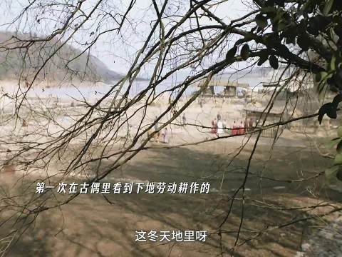 外祖母带魏娆下地干活