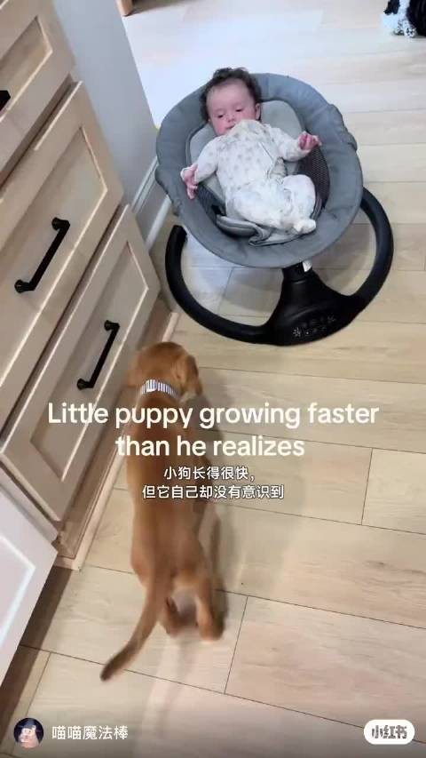 我感觉这是伟朝