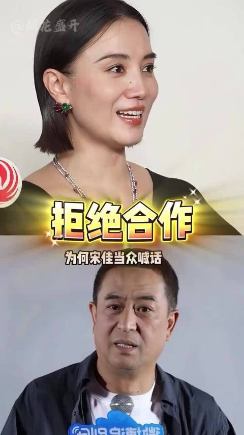 为何宋佳当众坦言不愿再跟张嘉益搭戏？