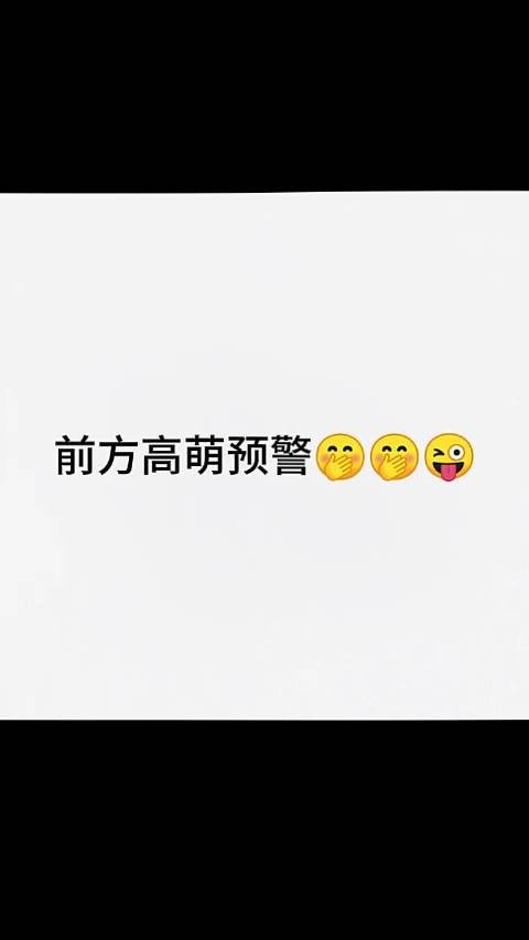 萌萌的张凌赫喜欢你
