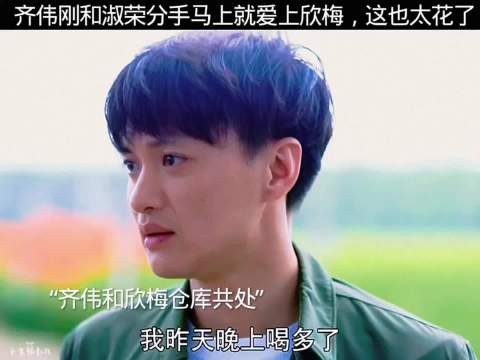 齐伟刚和淑荣分手马上就爱上欣梅，这也太花了