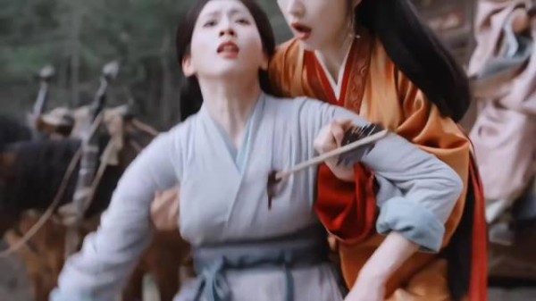 阿蛮战斗力好强,丽昭仪这是把最好的给女儿了呀