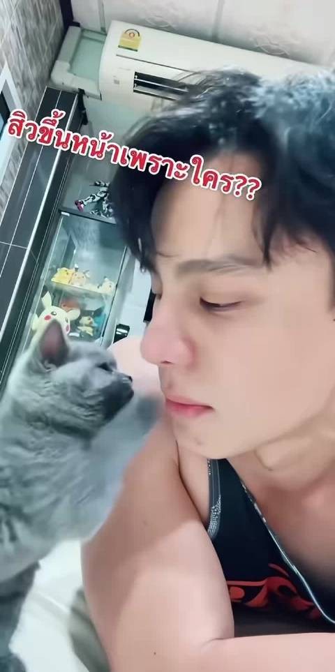 谁当那只小猫猫