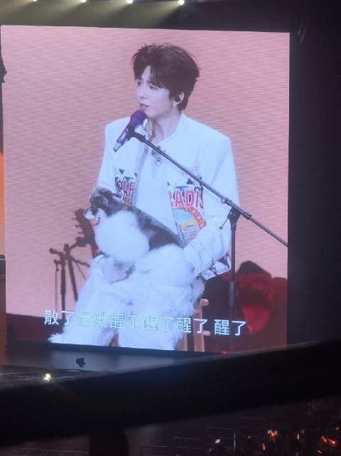 呆米首次演唱会嘉宾紧张,宁哥不停用手安抚