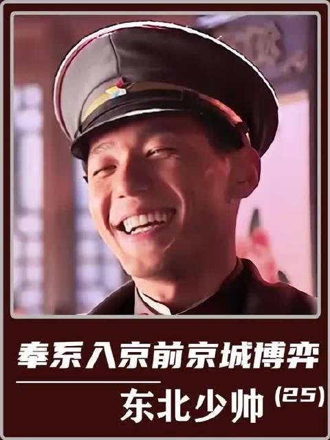 徐树铮赠载沣配枪,给张作霖的警告藏得太深
