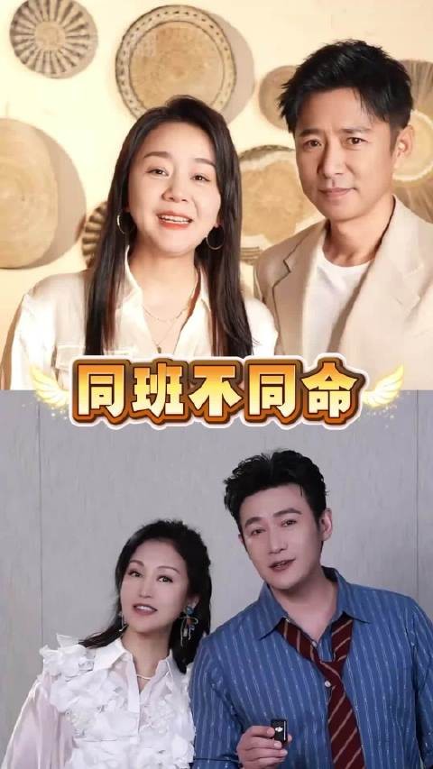 王一楠凭嫁金钗翻红，同班薛佳凝做文玩直播