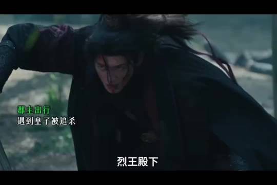 腹黑郡主偶遇落难皇子转身就走当场开怼