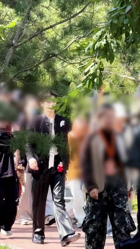 胡先煦天津话三连推荐喜夜3